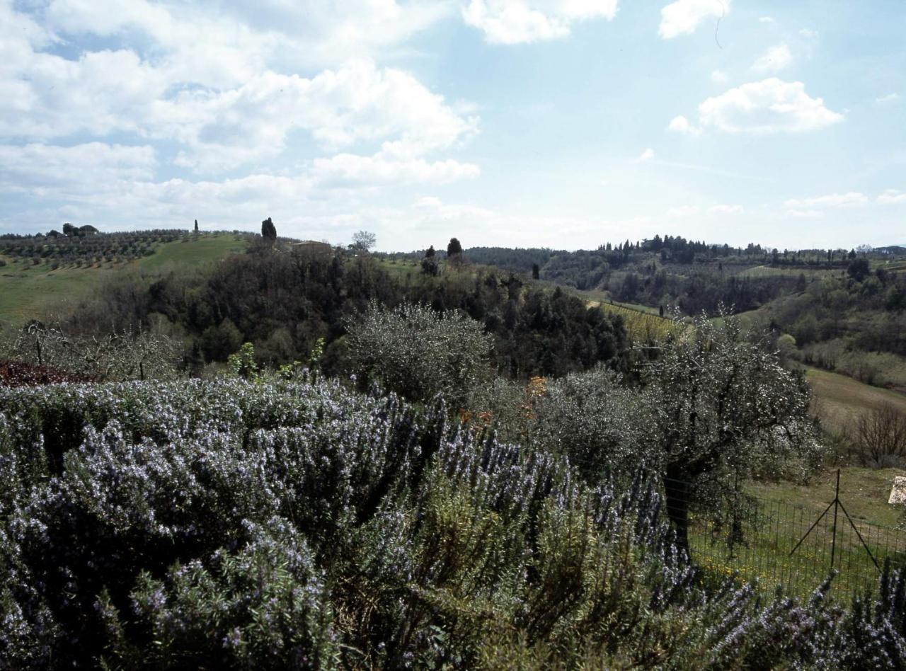 Maison d'hôtes Podere Oliveta à Poggibonsi Extérieur photo